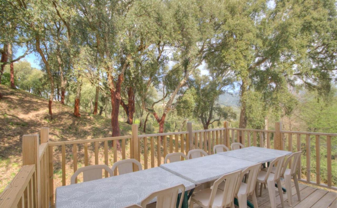 Gites Carbuccia En Corse Avec Piscine Chauffee Екстериор снимка