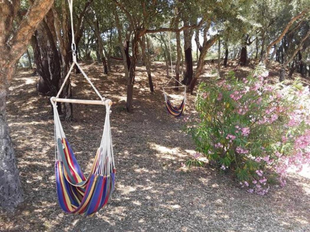 Gites Carbuccia En Corse Avec Piscine Chauffee Екстериор снимка